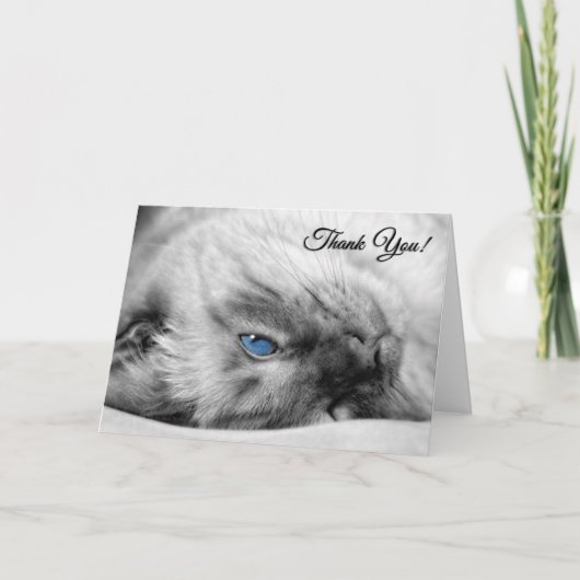 キャットサイアム出身の獣医 サンキューカード (正面)