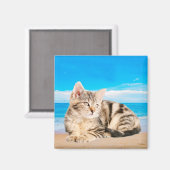 キャットシッティングオントロピカルアイランドビーチ マグネット (正面/裏面)