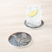 キャットシリーズ – セルバル・サバンナ猫 – コースター (側面)