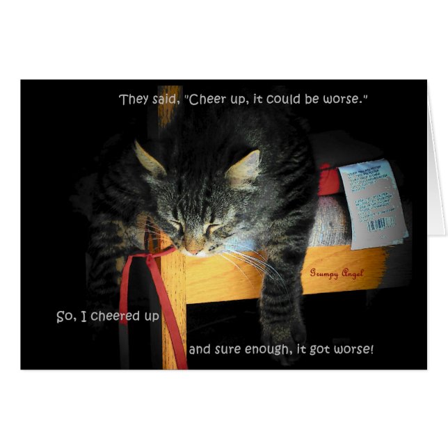 キャットジョーク – 落ち込んだ子猫 (正面横)