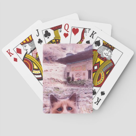 キャットスタリークラシックトランプ トランプ (裏面)