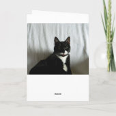 キャットスタークダウン誕生日カード カード (裏面)