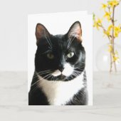 キャットスタークダウン誕生日カード カード (黄色い花)