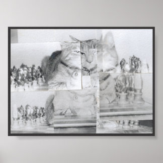 キャットチェス ポスター