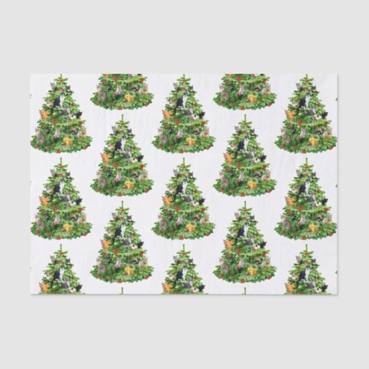 キャットツリーティッシュペーパー 薄葉紙 (正面)