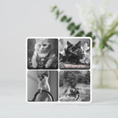 キャットデイ白黒赤 (スタンド正面)