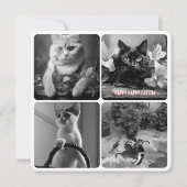 キャットデイ白黒赤 (正面)