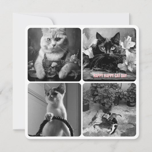 キャットデイ白黒赤 (正面)