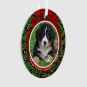 キャットドッグ写真初めてのクリスマスの果実 オーナメント (正面)