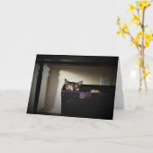 キャットバスケット、カード カード (黄色い花)