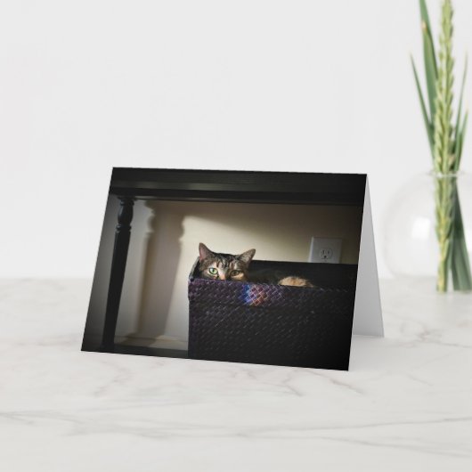 キャットバスケット、カード カード (正面)