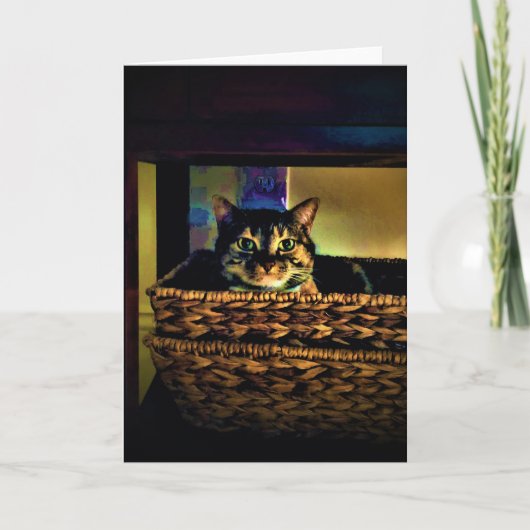 キャットバスケット、カード カード (正面)