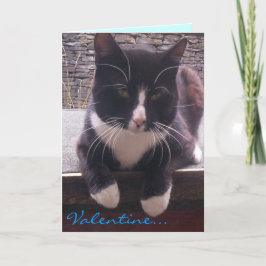 キャットバレンタインデーのカード シーズンカード