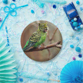 キャットバード ペーパープレート (パーティー)