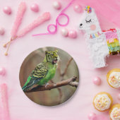 キャットバード ペーパープレート (パーティー)