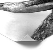 キャットバード ポスター (角)