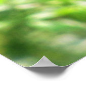 キャットバード ポスター (角)