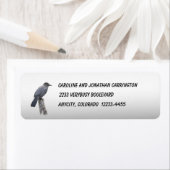 キャットバード ラベル (インサイチュ)