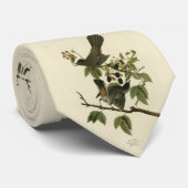 キャットバード（灰色のキャットバード）オードボンのアメリカの鳥 ネクタイ (ロール)