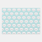 キャットパーフェクトデイ誕生日 ラッピングペーパーシート (正面3)