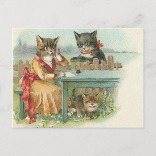 キャットファミリーのはがき ポストカード (正面)
