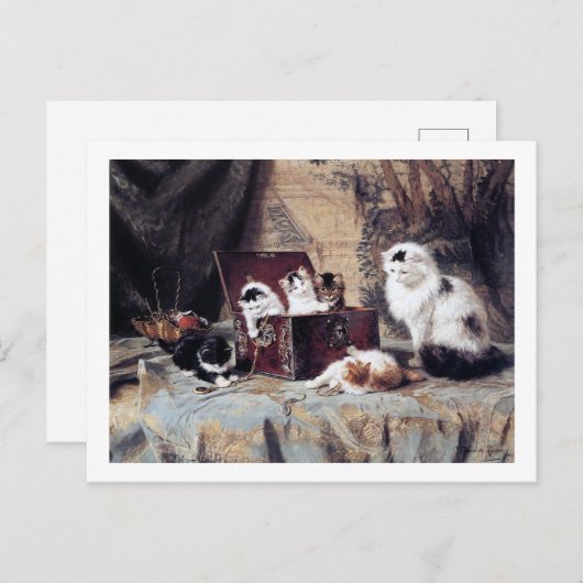 キャットファミリー,ヘンリエットロナーナイフ ポストカード (正面/裏面)