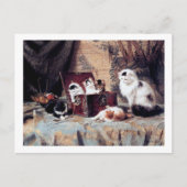 キャットファミリー,ヘンリエットロナーナイフ ポストカード (正面)