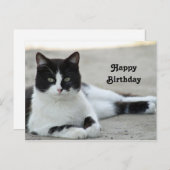 キャットブラック&ホワイトタキシードフォト誕生日 ポストカード (正面/裏面)