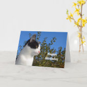 キャットブラック&ホワイトプロファイルフォト誕生日 カード (黄色い花)