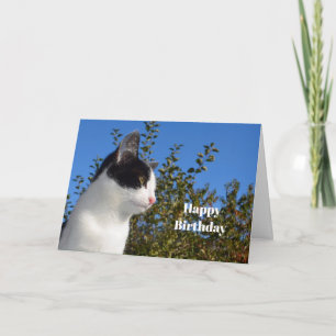 キャットブラック&ホワイトプロファイルフォト誕生日 カード