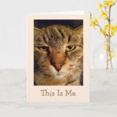 キャットプンがグッドカードを獲得 カード (黄色い花)