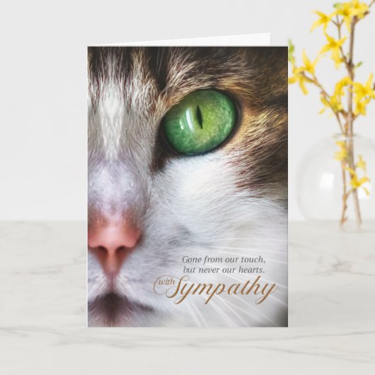 キャットペット悔やみや弔慰虎猫顔入札メッセージ カード (黄色い花)