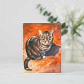 キャットポストカード ポストカード (スタンド正面)