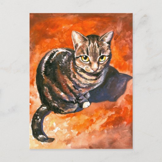 キャットポストカード ポストカード (正面)