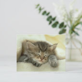 キャットポストカード ポストカード (スタンド正面)