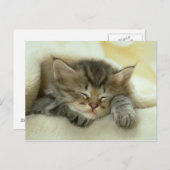 キャットポストカード ポストカード (正面/裏面)
