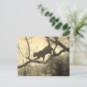 キャットポストカード ポストカード (スタンド正面)