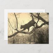 キャットポストカード ポストカード (正面/裏面)