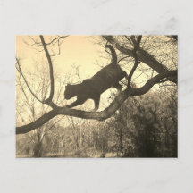 キャットポストカード