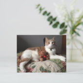 キャットポストカード ポストカード (スタンド正面)