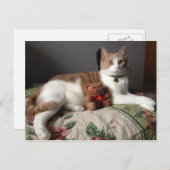 キャットポストカード ポストカード (正面/裏面)