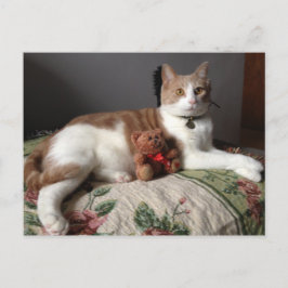 キャットポストカード ポストカード