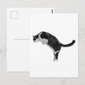 キャットポーズの喜び ポストカード (正面/裏面)