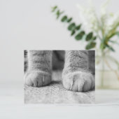 キャットポーズポストカード ポストカード (スタンド正面)