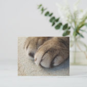 キャットポーズポストカード ポストカード (スタンド正面)