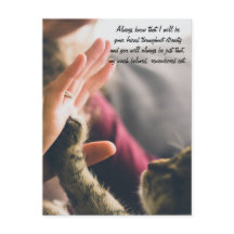 キャットポーハイファイブ