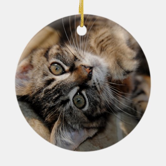 キャットポープリントクリスマスレッドスノーフレークスターズ写真 セラミックオーナメント (裏面)