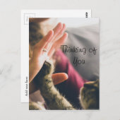 キャットポー与えズ・ハイ5 ポストカード (正面/裏面)