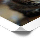 キャットモミー ポスター (角)