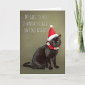 キャットユーモアのホリデーカードからのメリークリスマス シーズンカード (正面)